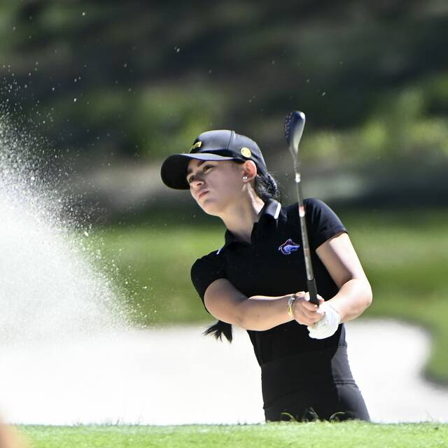 9080061_web1_ptr-WPIALGirlsGolf13-100225