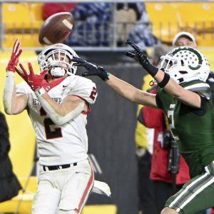 Peters Township’s Lucas Rost catches a pass to set up the winning touchdown past Pine-Richland’s Kaeden Taylor late in the WPIAL Class 5A championship game Saturday at Acrisure Stadium.