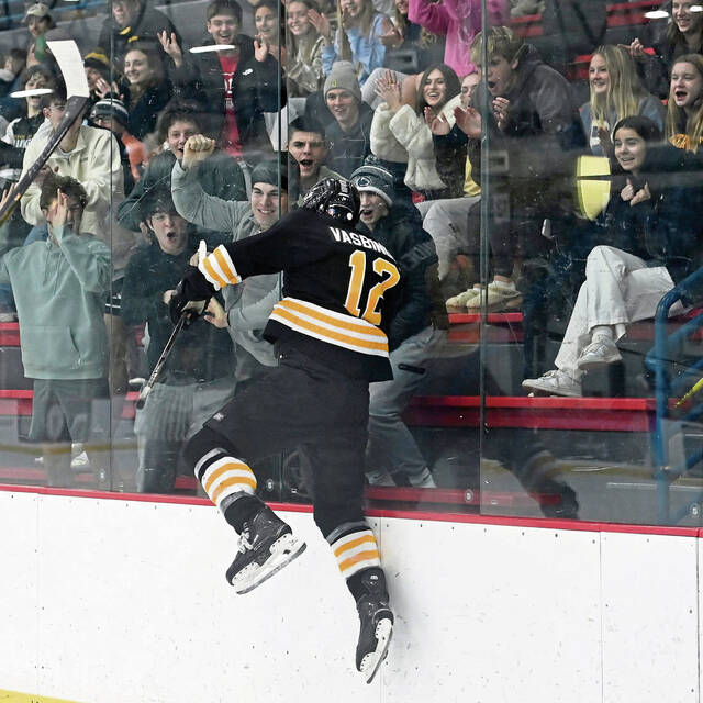 9079545_web1_ptr-QVMoonhockey01-112525