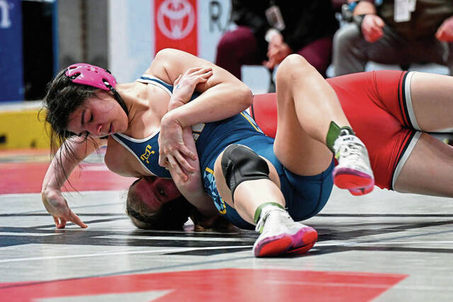 9096467_web1_ptr-PIAAgwrestle012-031024