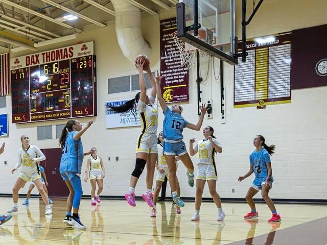 9102141_web1_vnd-Burrell2-120525