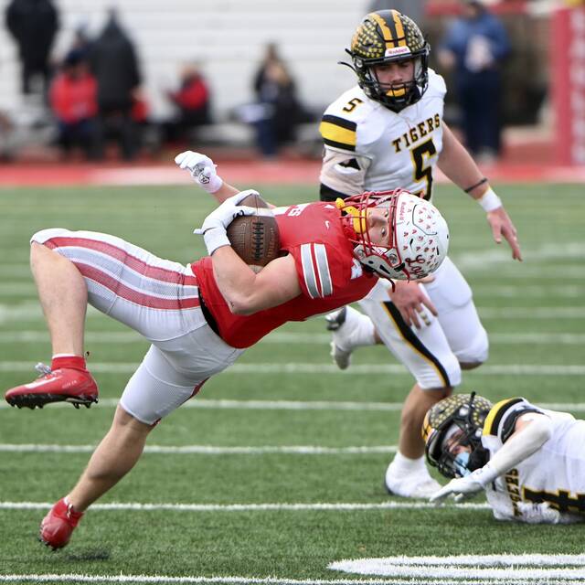Avonworth’s Luca Neal picks up a first down through the Northwestern Lehigh defense during the PIAA Class 3A championship game last season. (Christopher Horner | TribLive)