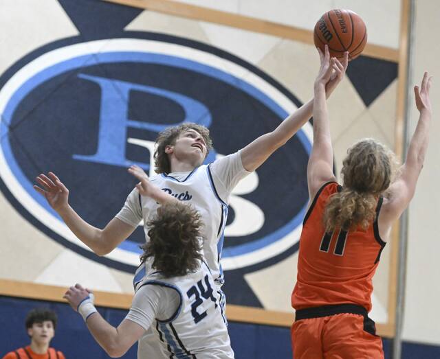 9105661_web1_vnd-SpringdaleBurrell14-120625