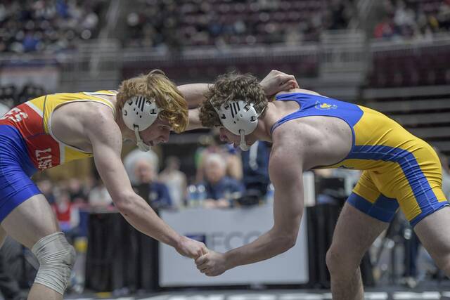 Derry’s Mason Horwat wrestles Line Mountain’s Dalton Schadel at 152 pounds during the PIAA Class 2A wrestling tournament last season. (Louis B. Ruediger | TribLive)
                                Derry Mason Horwat wrestles Line Mountain Dalton Schadel in the 152 pounds during the PIAA Class 2A wrestling tournament Friday, March 6, 2025, at Giant Center in Hershey