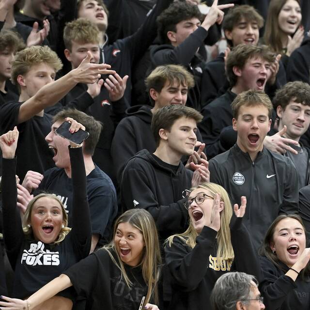 9124237_web1_vnd-HSroundup24-121325