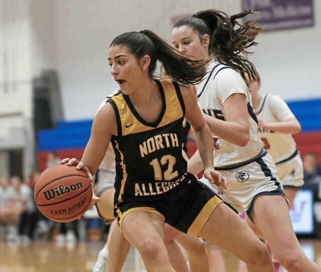 North Allegheny all-section senior guard Vange Barouris returns for the Tigers after averaging a team-high 13.5 points last season. (Submitted | Lori Heim)