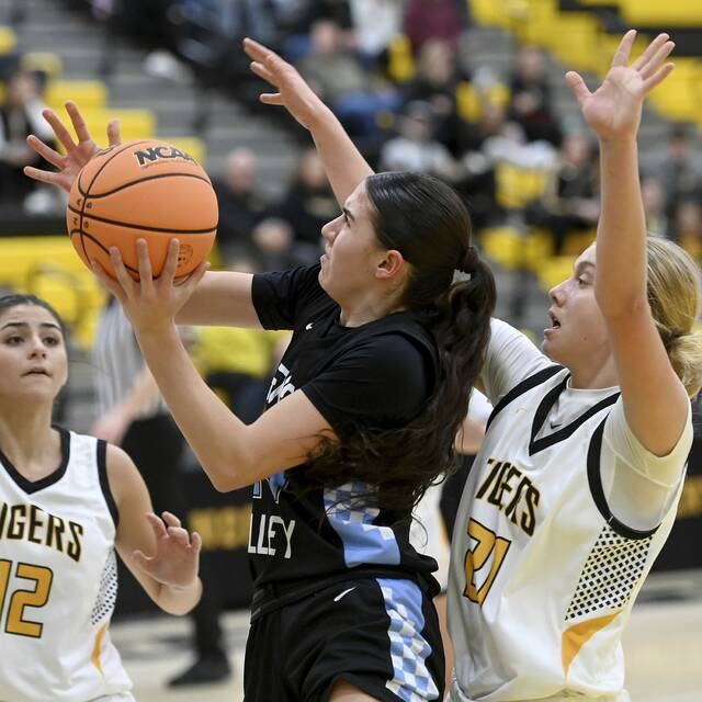 9136378_web1_ptr-SVNAgbb03-121825