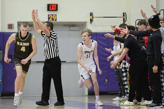 9156996_web1_gtr-PlumHigh1-122725