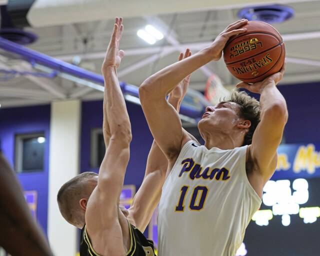 9156996_web1_vnd-PlumHIgh3-122725