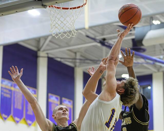 9156996_web1_vnd-PlumHigh22-122725