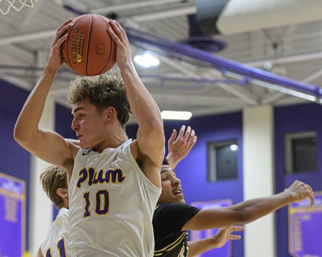 9156996_web1_vnd-PlumHigh4-122725