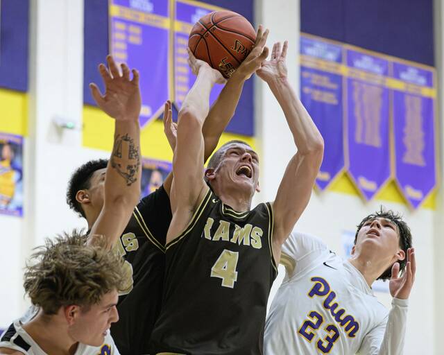 9156996_web1_vnd-PlumHigh7-122725