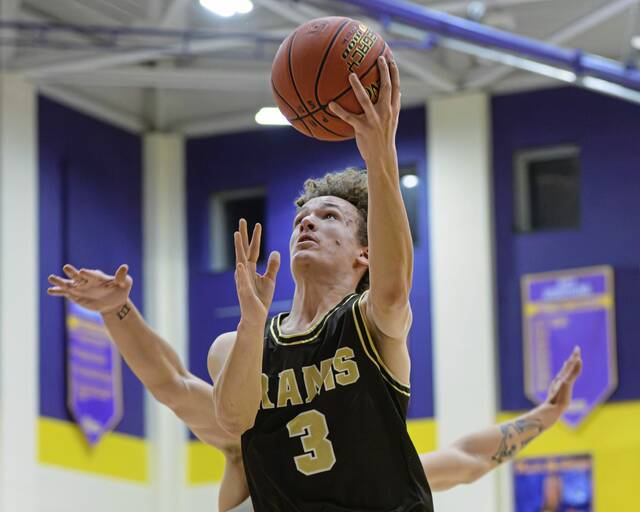 9156996_web1_vnd-PlumHigh9-122725