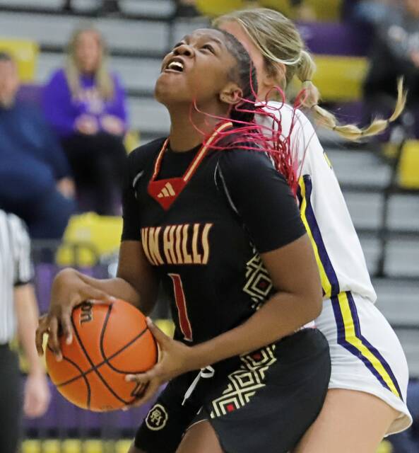 9176411_web1_VND-PlumPH4-010625