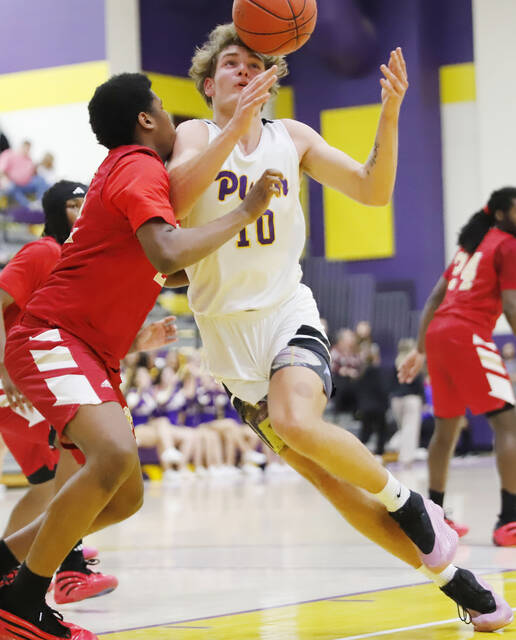 9179292_web1_vnd-PHplum03-010726