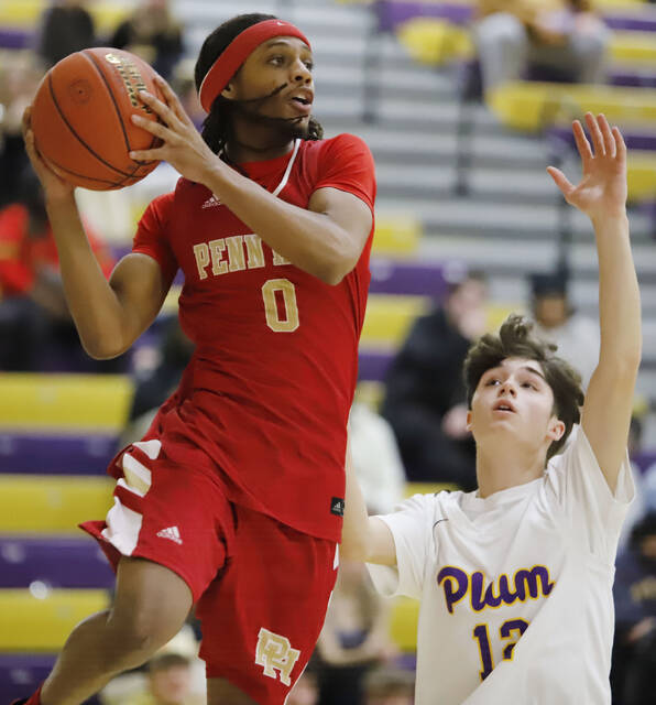 9179292_web1_vnd-PHplum04-010726