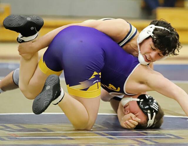 9206163_web1_vnd-PlumFR01-010826