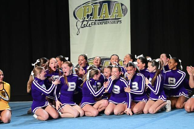 9217748_web1_shr-Baldwinspirit4-02926