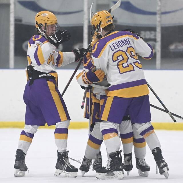 Plums A.J. Leah celebrates his hat-trick goal with teammates during their game against Greensburg Salem in November. (Christopher Horner | TribLive)