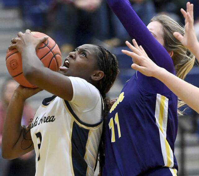 9263531_web1_ptr-PlumKiskiGbb17-120925