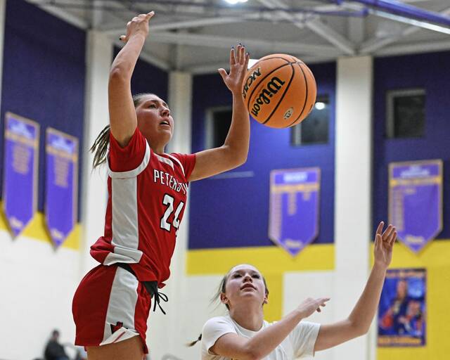 9290234_web1_vnd-PlumPT01-021426