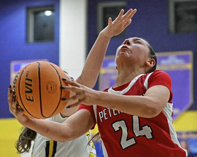 9290234_web1_vnd-PlumPT02-021426