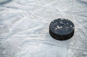 Hockey Puck Ice WEB