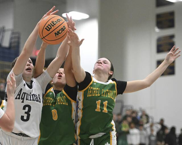 9315418_web1_ptr-AQGebel09-022426i