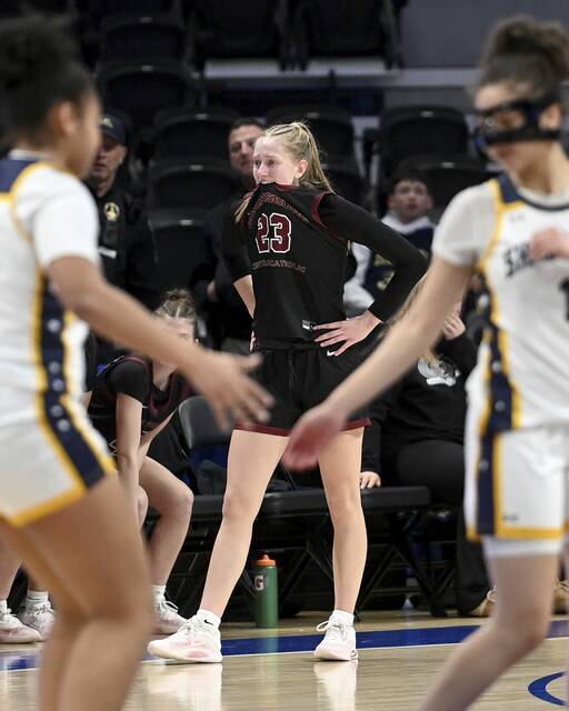 9337823_web1_gtr-GCCSSA-022726