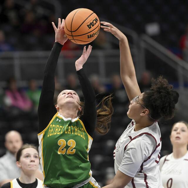 9341588_web1_ptr-WPIALAGirls05-022826