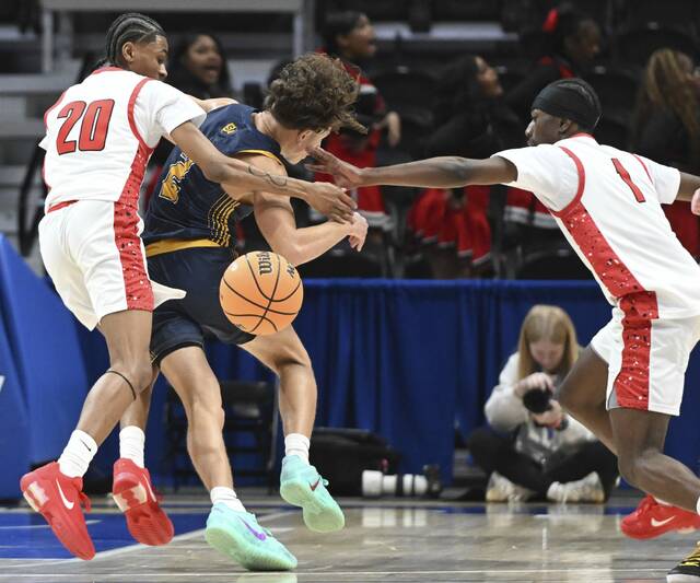 9344549_web1_ptr-QuipSA03-030126