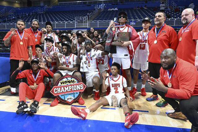 9344549_web1_ptr-QuipSA06-030126