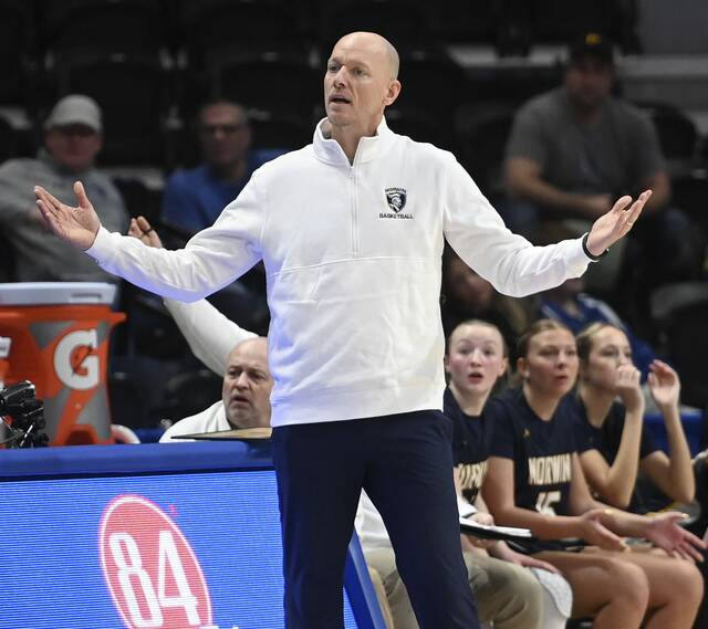 Norwin coach Brian Brozeski reacts from the bench during the WPIAL Class 6A championship game against Canon-McMillan on Saturday at Petersen Events Center. (Christopher Horner | TribLive)