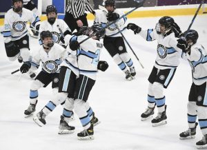 Seneca Valleys Tyler Maxwell (24) celebrates with Carter Hoehn after Hoehns game-winning goal in overtime to beat Upper St. Clair, 3-2, during the PIHL 3A semifinal Monday, March 10, 2025 at Robert Morris University Island Sports Center. (Chaz Palla | TribLive)