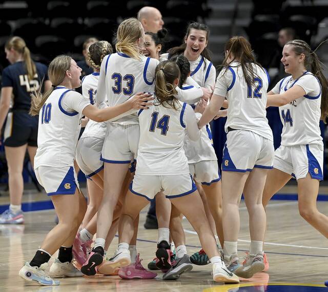 The Canon-McMillan basketball team celebrates after defeating Norwin in the WPIAL Class 6A championship game Saturday at Petersen Events Center. (Christopher Horner | TribLive)