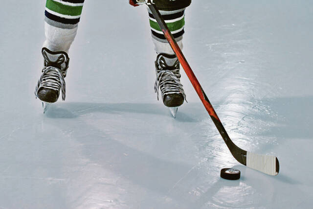 9351901_web1_hockeystock1