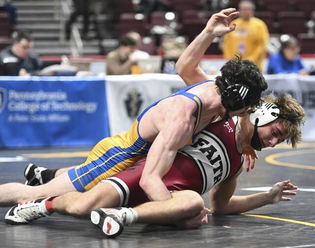 9359691_web1_ptr-PIAAAA06-030626