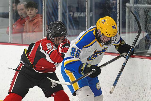 9376921_web1_ptr-AvonCM3-031226