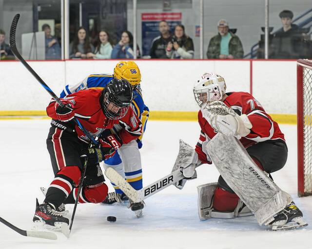 9376921_web1_ptr-AvonCM4-031226