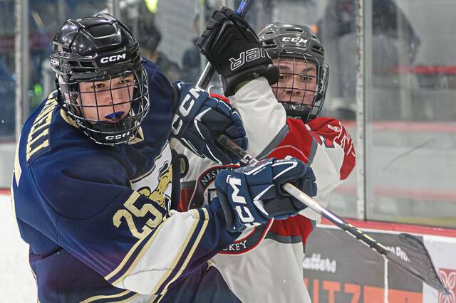 9381721_web1_ptr-RingNesh1-031326