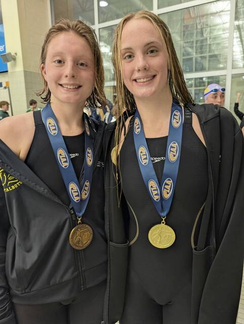 9387976_web1_ptr-HamptonSheets-031526 9387976_web1_ptr-HamptonSheets-031526