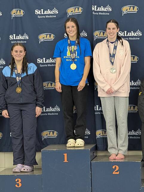 9387979_web1_ptr-2Adiving1-031526