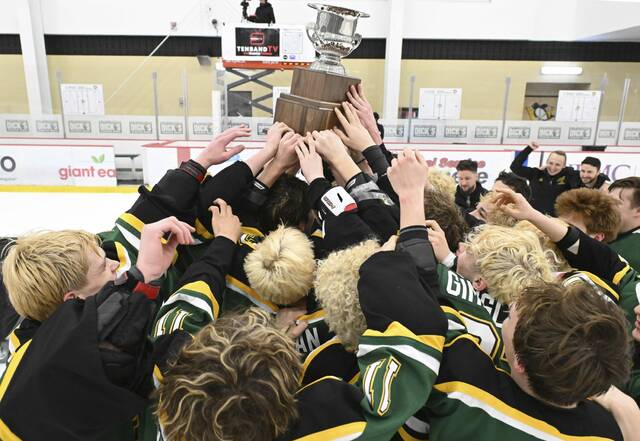 9392629_web1_gtr-PTHemp10-031726