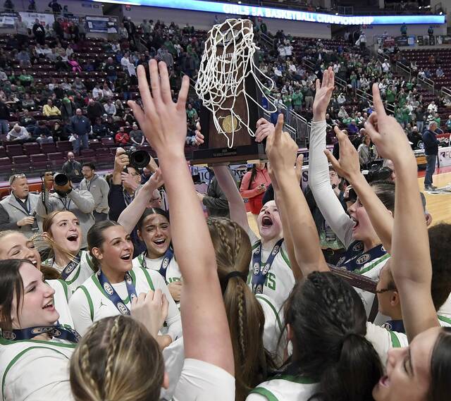 9409967_web1_ptr-SFWood03-032226