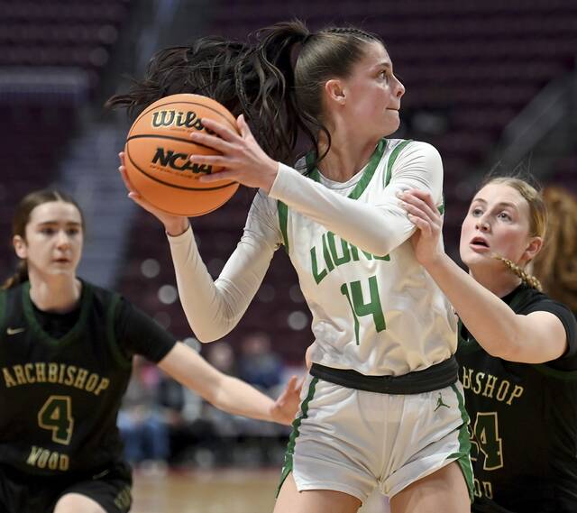 9409967_web1_ptr-SFWood04-032226