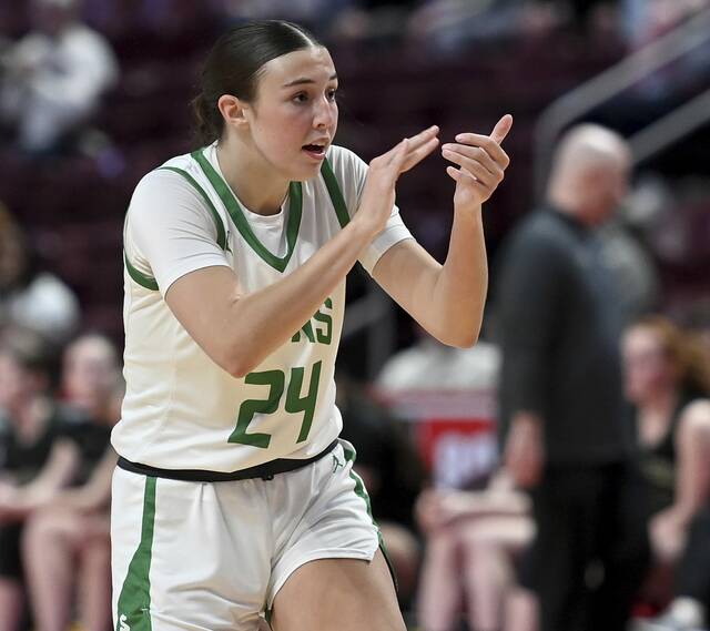 9409967_web1_ptr-SFWood09-032226