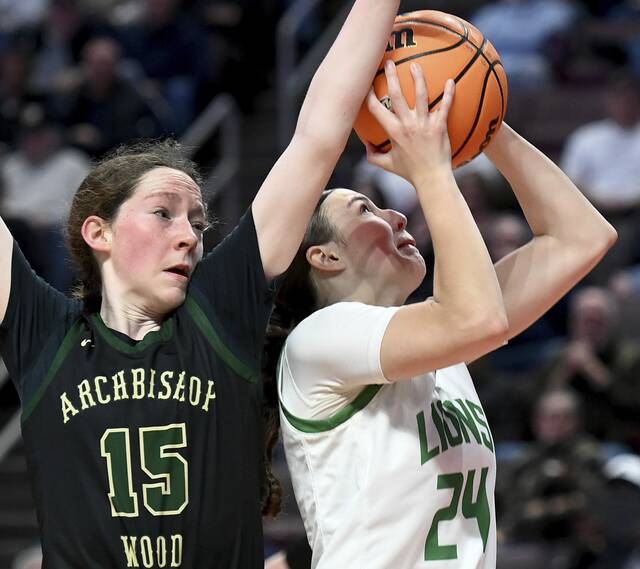 9409967_web1_ptr-SFWood15-032226