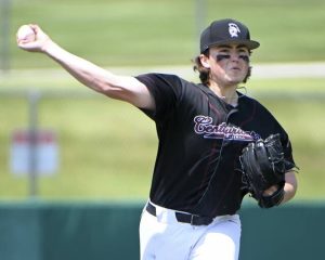 Greensburg Central Catholic pitcher Tyler Samide throws against West Middlesex during a PIAA Class A first-round playoff game last season. (Christopher Horner | TribLive)