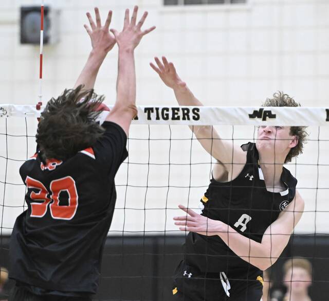 North Alleghenys Brendan Moore was named a Western Pennsylvania Volleyball Coaches Association Class 3A player of the week. (Chaz Palla | TribLive)